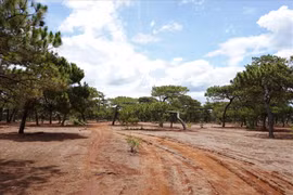 Tập đoàn FLC thế chấp dự án ở Đak Đoa - Gia Lai cho OCB