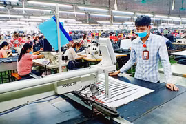 Cổ phiếu TDT "nện sàn" 3 phiên sau tin sắp chuyển sàn và tăng vốn