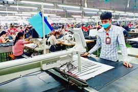 Cổ phiếu TDT "nện sàn" 3 phiên sau tin sắp chuyển sàn và tăng vốn