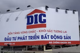 Nối bước Him Lam, cổ đông lớn Thiên Tân thoái dần vốn tại DIC Corp