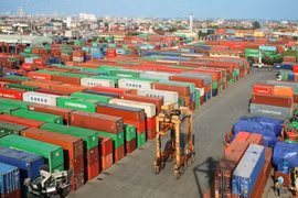 Một công ty vận tải biển muốn nâng lãi lên gấp đôi, cổ tức lên 80%