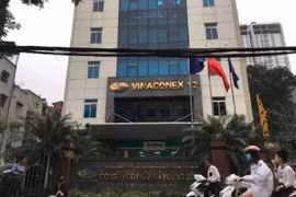 Kê khai sai thuế, V12 buộc nộp lại gần 400 triệu đồng