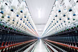 Cổ phiếu 'lau sàn' 30 phiên liên tiếp, Fortex thay đổi loạt nhân sự chủ chốt