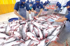 Nam Việt thua lỗ 13 tỷ đồng trong quý 3