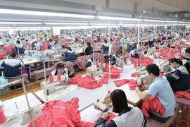 MSH: Trả cổ tức 2021 tới 95%, đưa con gái Chủ tịch vào HĐQT