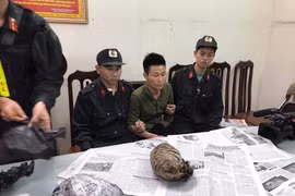 Khởi tố 9x táo tợn chở 5 “chúa sơn lâm” đông lạnh