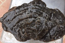 Khối gỗ ngọc am hóa thạch đổi màu dưới đáy sông Cầu