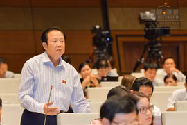 ĐBQH bức xúc phát ngôn du khách mặc áo in đường lưỡi bò là chuyện nhỏ