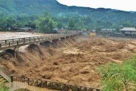 Yên Bái: Nước lũ cuồn cuộn đổ về Nghĩa Lộ, đe dọa người dân