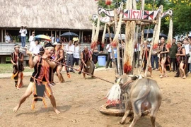 Chỉ đạo nóng vụ bắt dân nghèo đóng tiền tổ chức lễ hội đâm trâu