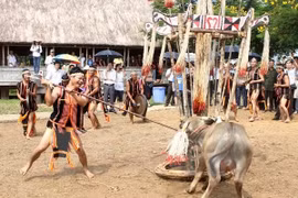 Chỉ đạo nóng vụ bắt dân nghèo đóng tiền tổ chức lễ hội đâm trâu