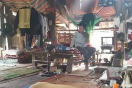 Thí sinh bị trường Sĩ quan Thông tin trả về: BQP kết luận ra sao?