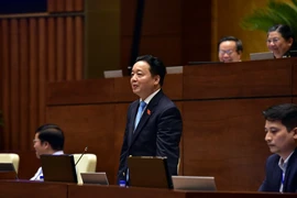 Bộ trưởng TNMT: Người nước ngoài mua đất ở đặc khu là trái pháp luật