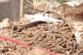Hưng Yên: Hoàn tất di dời 6 tấn đầu đạn trong bãi phế liệu