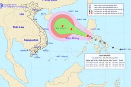 Khẩn trương ứng phó bão số 13 có thể mạnh tới cấp 12