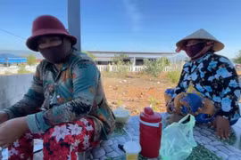 “Xin đểu” tại nghĩa trang Phan Thiết: Chính quyền nói gì?