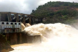 Phát triển Điện lực VN báo lãi quý 1 vỏn vẹn 167 triệu đồng do ảnh hưởng của El Nino