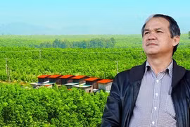 Hoàng Anh Gia Lai của bầu Đức lỗ ngàn tỷ năm 2019, ai gánh hộ?