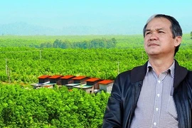 Hoàng Anh Gia Lai của bầu Đức lỗ ngàn tỷ năm 2019, ai gánh hộ?