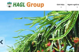 Hoàng Anh Gia Lai chuyển từ lỗ sang lãi sau soát xét, tiếp tục xin giãn nợ giảm lãi suất