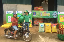 5 tháng, sản lượng kinh doanh của DPM đạt tới 500 ngàn tấn, vượt xa so kế hoạch