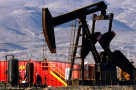 Giá dầu phục hồi sau phiên lao dốc, cổ phiếu nào đáng lo ngại?