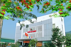 BIDV rao bán 10 tài sản gửi tại kho của tập đoàn Hoành Sơn