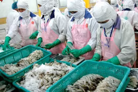 Bộ Công Thương nói gì về việc Thủy sản Minh Phú bị Hoa Kỳ điều tra về thuế chống bán phá giá 