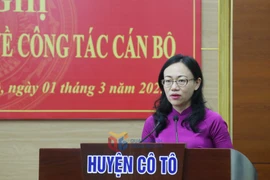 Chân dung nữ Nhà báo làm Bí thư huyện đảo Cô Tô