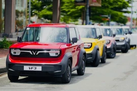 Năm 2023, ôtô và xe máy điện có thể chiếm 30% tại Việt Nam