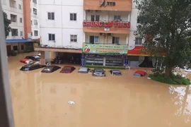 Hàng loạt ôtô chìm trong nước ở Thái Nguyên