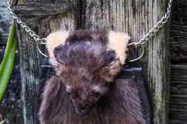 Hoảng hồn với những chiếc túi hình thù “siêu kỳ dị“