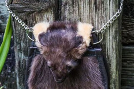 Hoảng hồn với những chiếc túi hình thù “siêu kỳ dị“