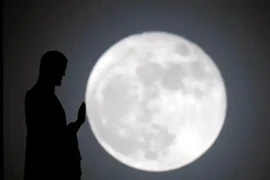 Những khoảnh khắc hiếm hoi gây ấn tượng đặc biệt 