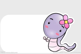 4 con giáp tương hợp thái tuế, nhiều tiền nhất năm 2021 