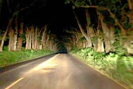 Lạnh gáy các địa điểm ma ám ở Hawaii, nhiều người chết khiếp