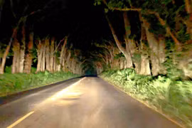 Lạnh gáy các địa điểm ma ám ở Hawaii, nhiều người chết khiếp