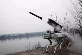 Trung Quốc khoe chó robot quân sự, kỹ năng chiến đấu “đáng gờm” 