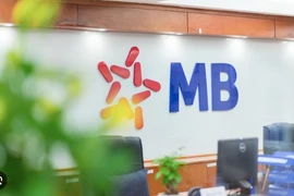 Tình hình tín dụng của Novaland và Trung Nam tại MBB thế nào?