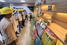 Thay đổi thuế GTGT với phân bón sẽ thúc đẩy lợi nhuận DPM và DCM