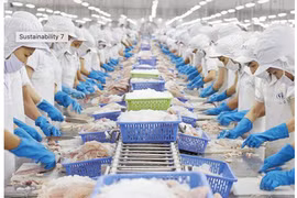 Vĩnh Hoàn báo doanh thu 7 tháng đạt 7,2 nghìn tỷ nhờ sản lượng bán phục hồi