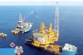 Vừa báo lãi suy giảm, PVS dự kiến dự án Lô B sẽ được FID đầu quý 2