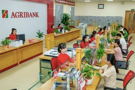 Agribank rao bán khoản nợ vàng và tiền nhưng không còn tài sản bảo đảm