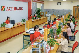Agribank rao bán khoản nợ vàng và tiền nhưng không còn tài sản bảo đảm
