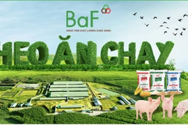 "Heo ăn chay" BAF lần đầu báo lỗ quý 4, tăng vọt nợ vay