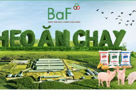 "Heo ăn chay" BAF lần đầu báo lỗ quý 4, tăng vọt nợ vay