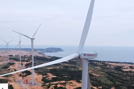 Kinh doanh thua lỗ, VNE bị nghi ngờ khả năng hoạt động