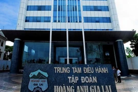 HNG liên tục tăng trần, HAG muốn bán 13,3 triệu cổ phiếu trả nợ BIDV