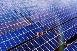 Giảm mạnh nợ vay, BCG báo lãi năm 2023 đạt 188 tỷ đồng