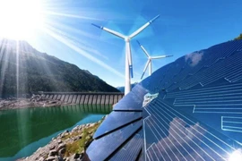 Ngành Điện năm 2024: Triển vọng và rủi ro